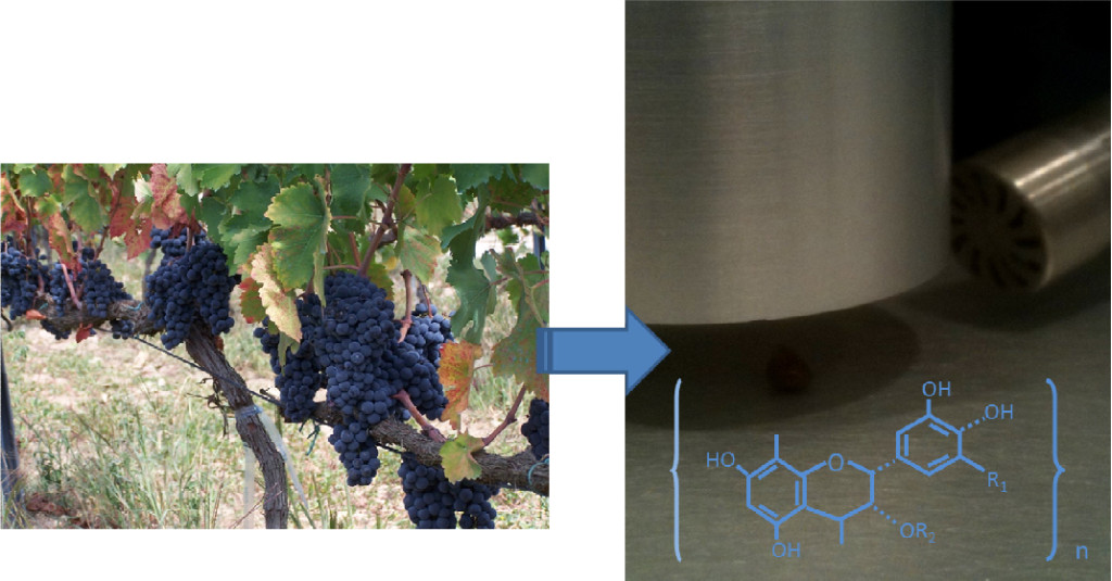 Use of instrumental acoustic parameters of winegrape seeds as possible predictors of extractable phenolic compounds