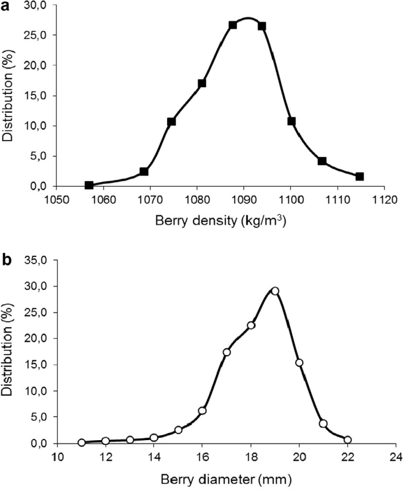 Berry density and size as factors related to the physicochemical characteristics of Muscat Hamburg table grapes (Vitis vinifera L.)