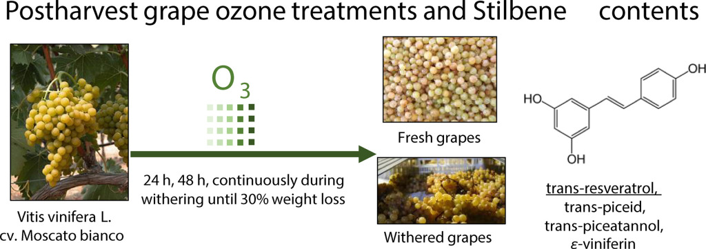 Changes in stilbene composition during postharvest ozone treatment of ‘Moscato Bianco’ winegrapes