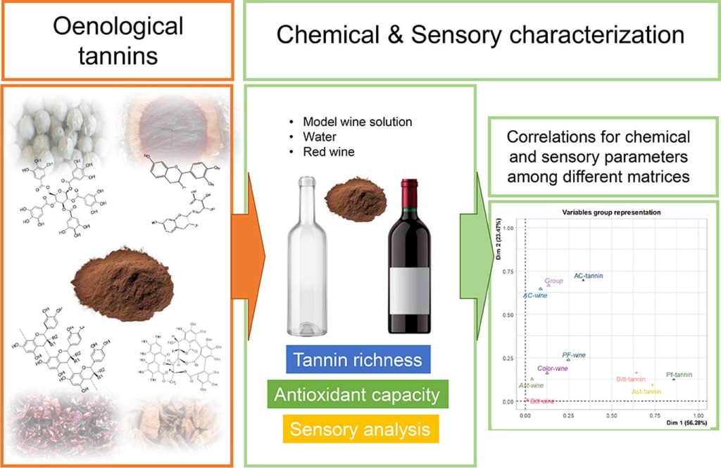 Relative impact of oenological tannins in model solutions and red wine according to phenolic, antioxidant, and sensory traits