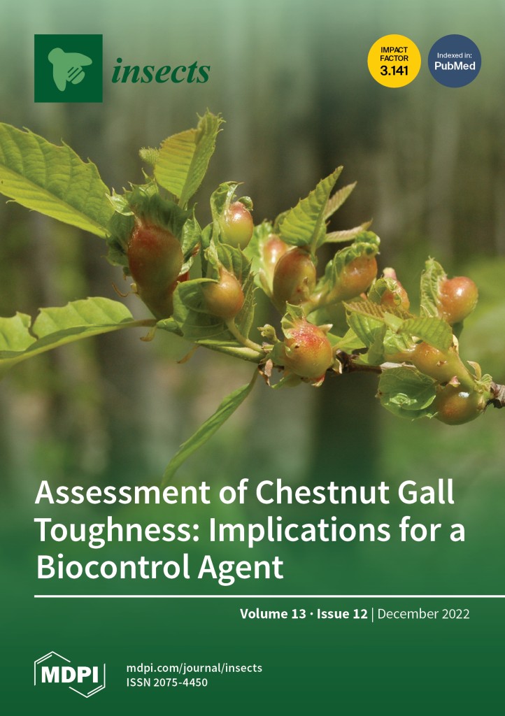 Assessment of chestnut gall toughness: implications for a biocontrol agent