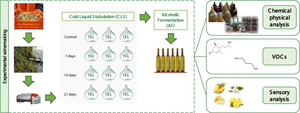 Cold liquid stabulation: Impact on the phenolic, antioxidant, and aroma characteristics of wines from aroma-neutral white grape varieties
