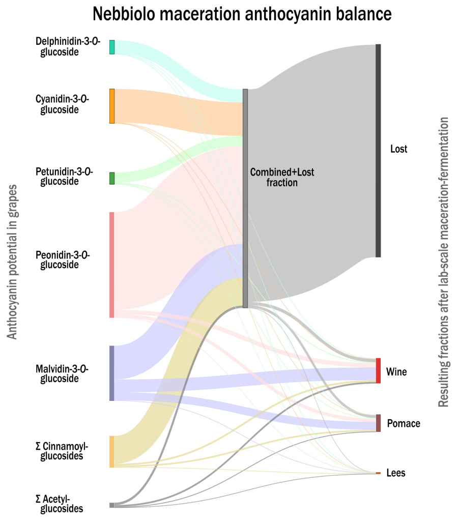 Phenolic budget in red winemaking: Influence of maceration temperature and time
