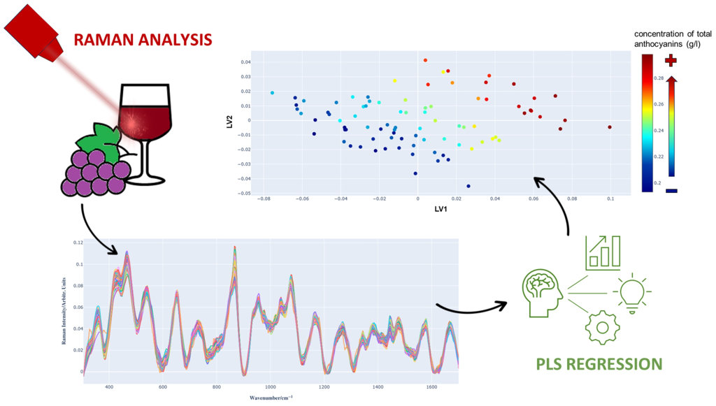 Determination of total anthocyanin concentration in Barbera red wines by Raman spectroscopy and multivariate statistical methods