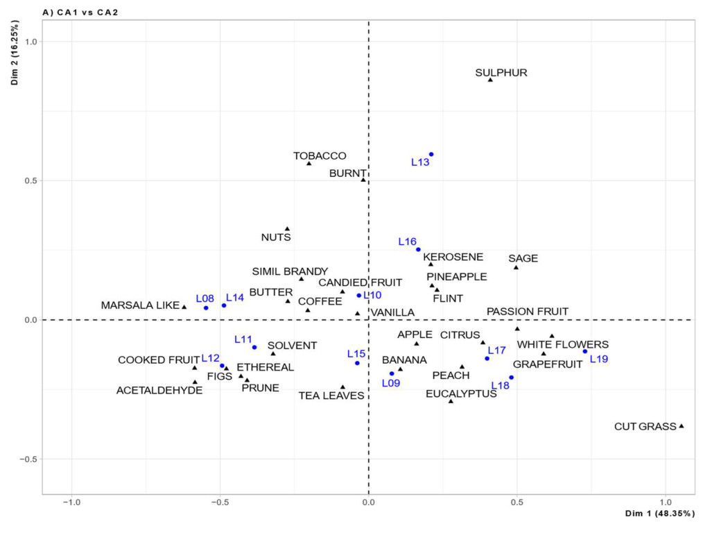Sensory-driven characterisation of the Lugana DOC white wines aging ability through odour activity value, aroma vectors, and clustering approaches