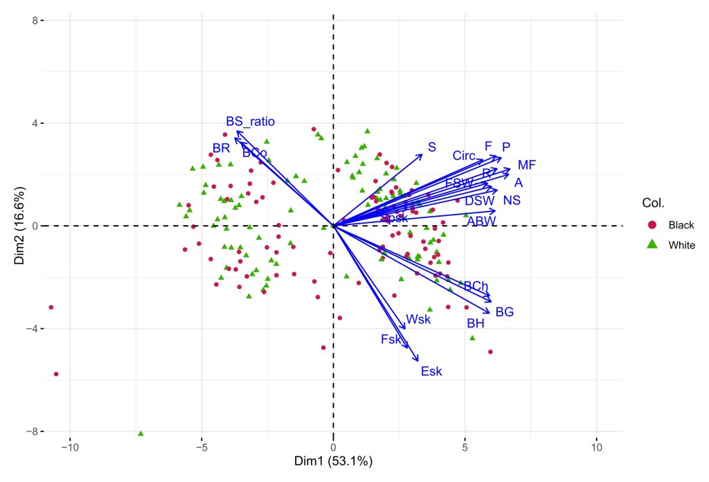 A comprehensive SPET-based linkage mapping for berry texture and defective seed development in grapevine