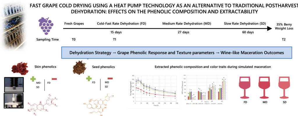 Fast grape cold drying using a heat pump technology as an alternative to traditional postharvest dehydration: Effects on the phenolic composition and extractability